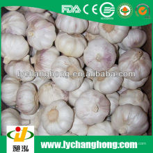 2013 nova colheita Jinxiang alho com baixo preço
